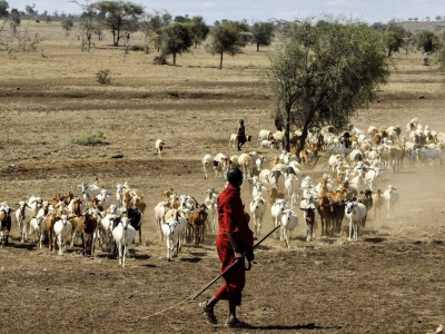goat-keeper-Photo-by-maasai-herdsman-via-pixabay802888_1920-1024x631-56f01c57.jpeg